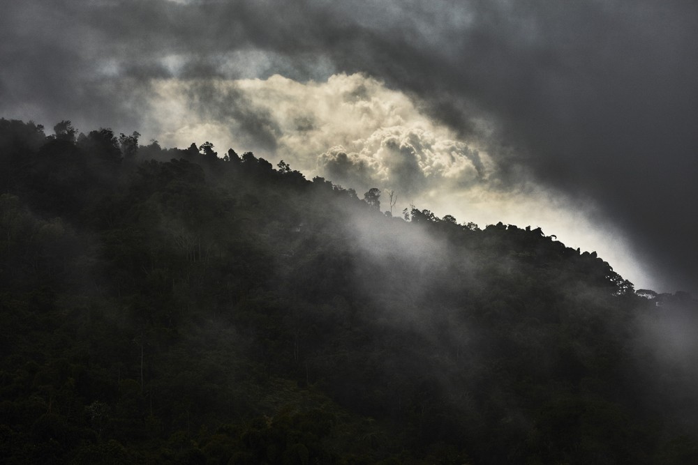 Personal Minca Colombia image